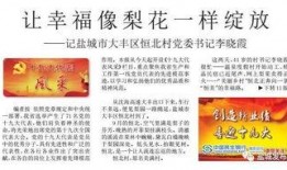 盐城日报爆料内容最新,聚焦城市热点事件，揭秘背后真相